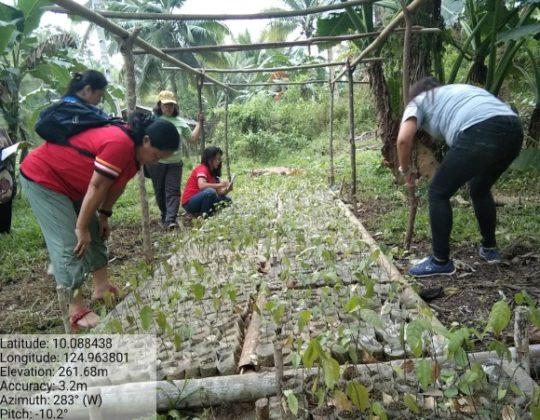 51,779 seedlings planted in Southern Leyte to replace trees cut by road ...