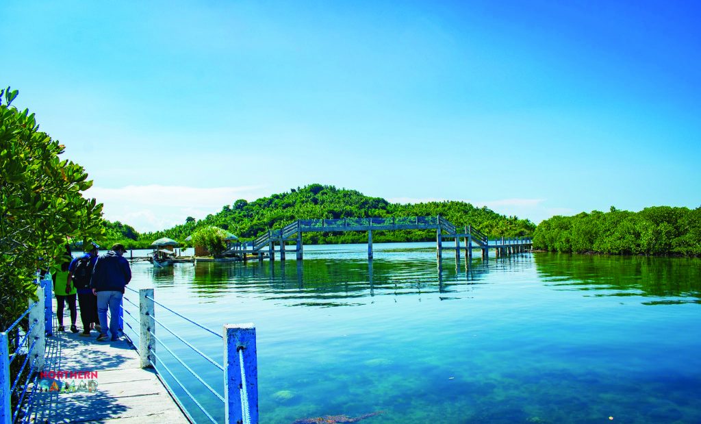 Lalaguna Mangrove Eco Park to join Northern Samar’s cruise tourism ...